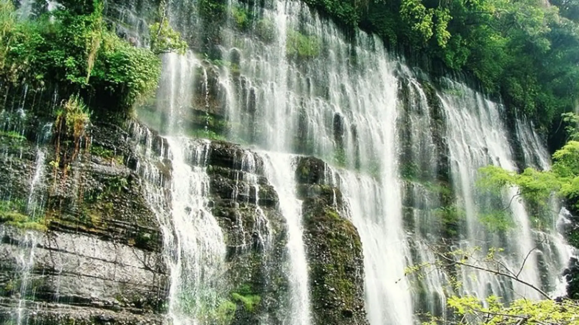 Chorros de varal